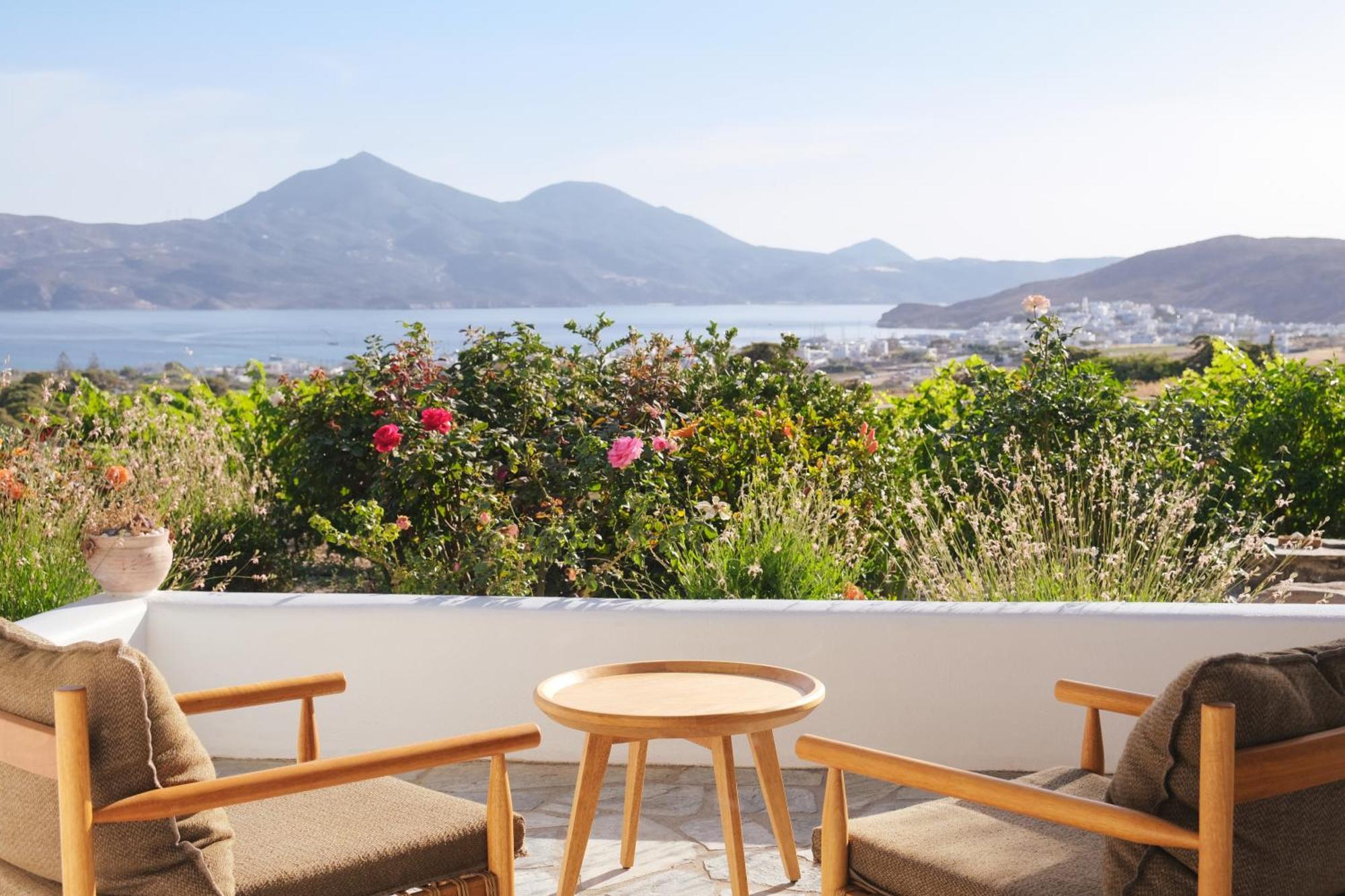 Iliana Olive Branch Apartment Adamantas  ภายนอก รูปภาพ